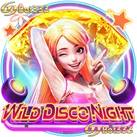 Wild Disco Night