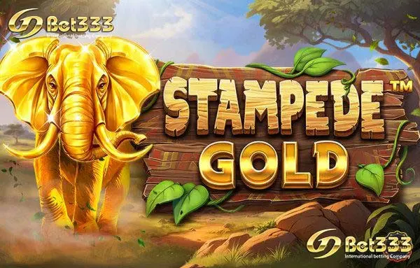 Stampede Gold